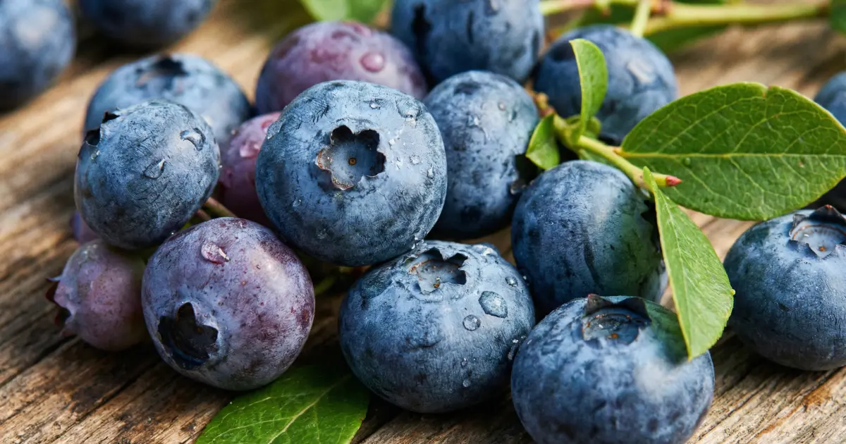 Боровинка – природна поддршка за варењето и оралното здравје